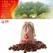 Fresh natures horse chestnut seed in shell