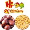 IQF Chestnuts for sale -- Sweet Chestnuts